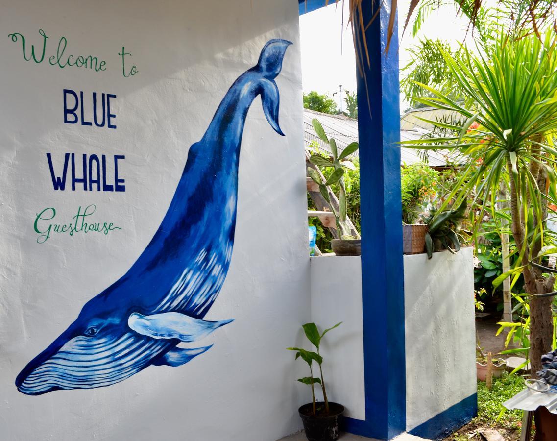 Blue Whale Guesthouse Τζίλι Τραγουανγκάν Εξωτερικό φωτογραφία